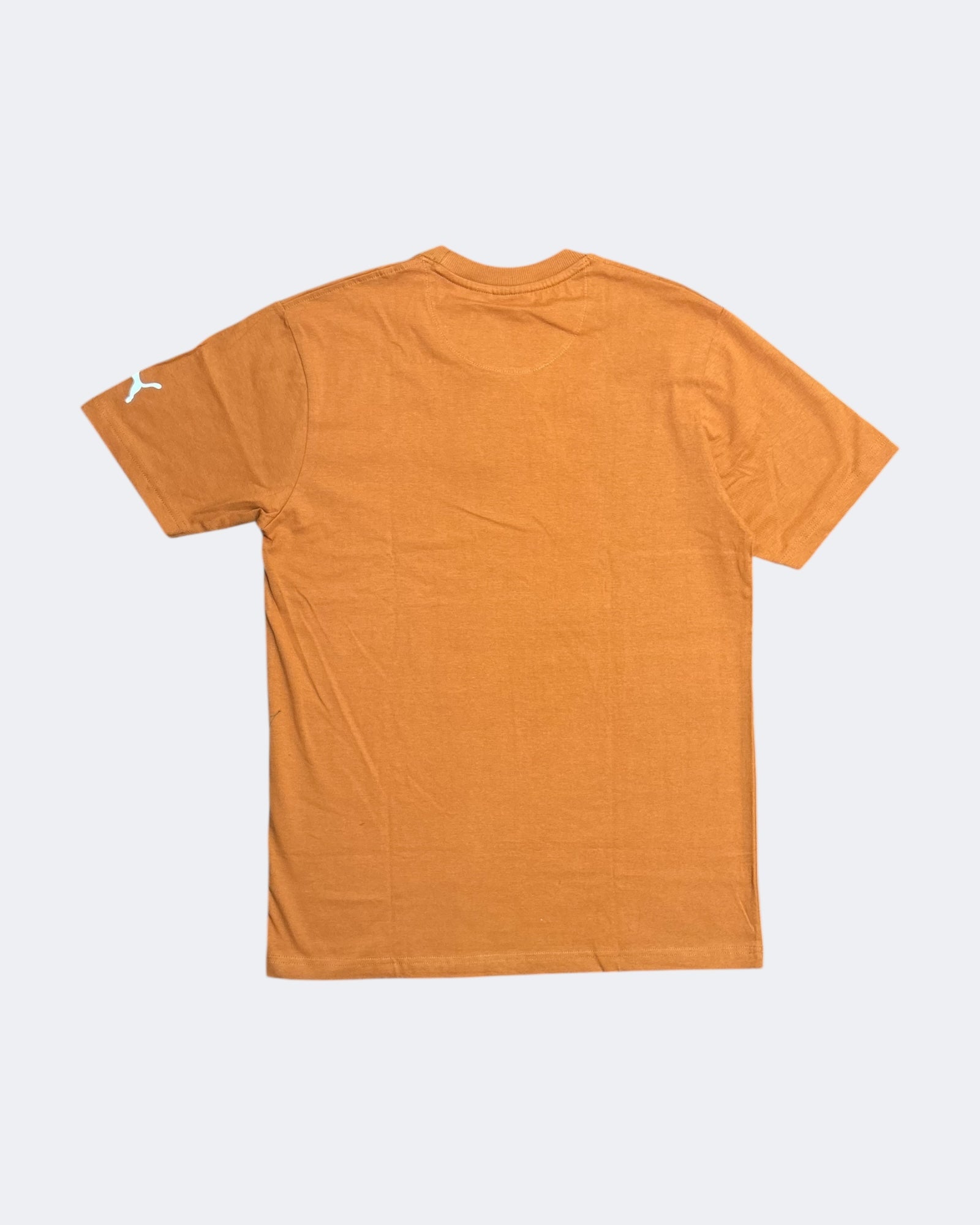 Puma | Crew neck | Rust