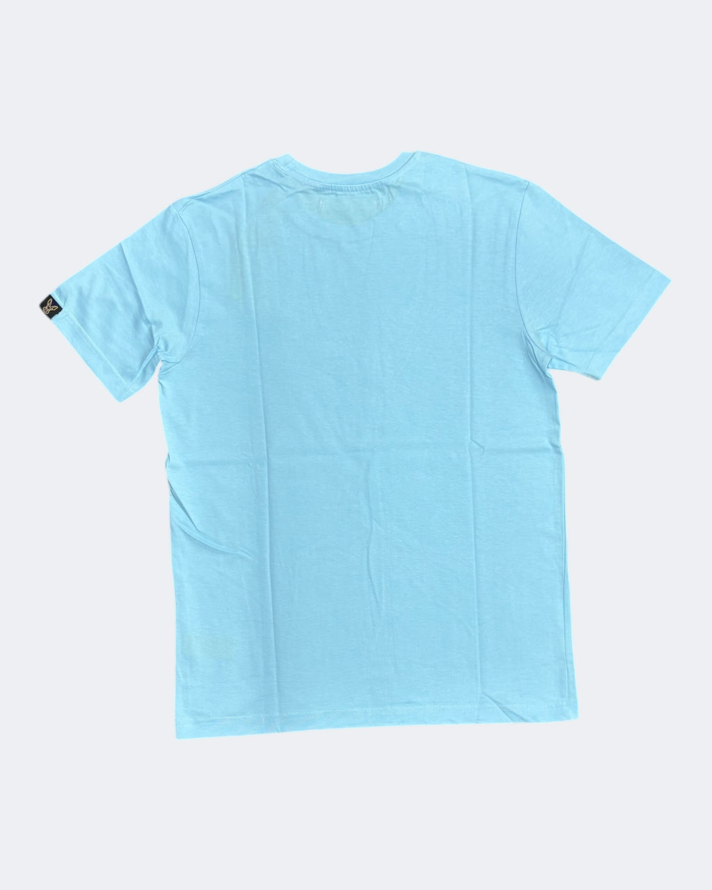 Rare rabbit | Crew neck | Aqua blue