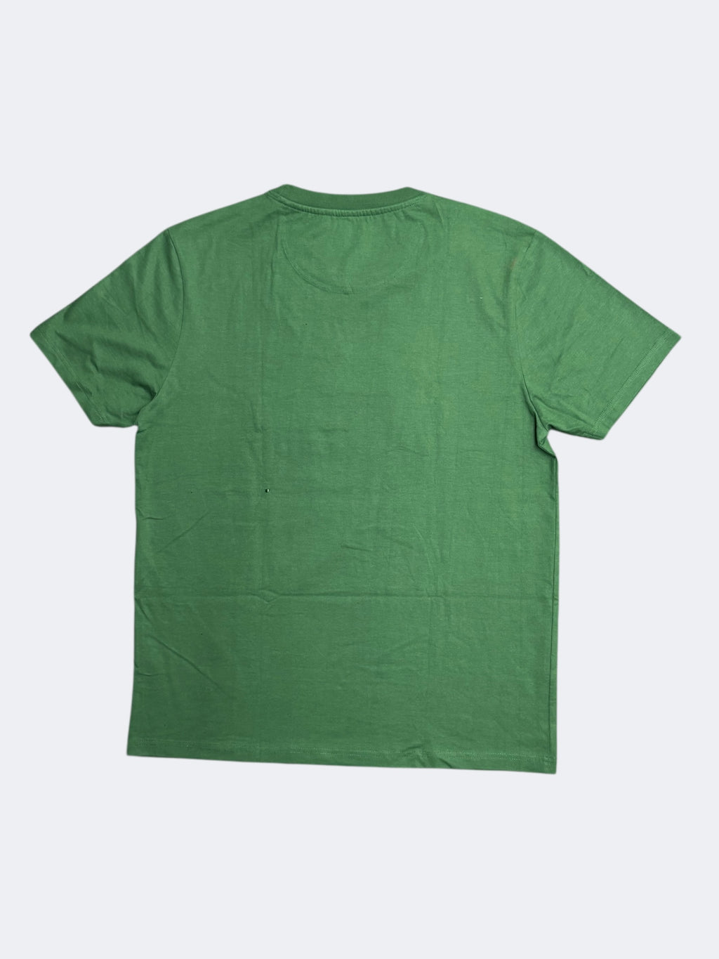 Hollister | Green | Crew neck