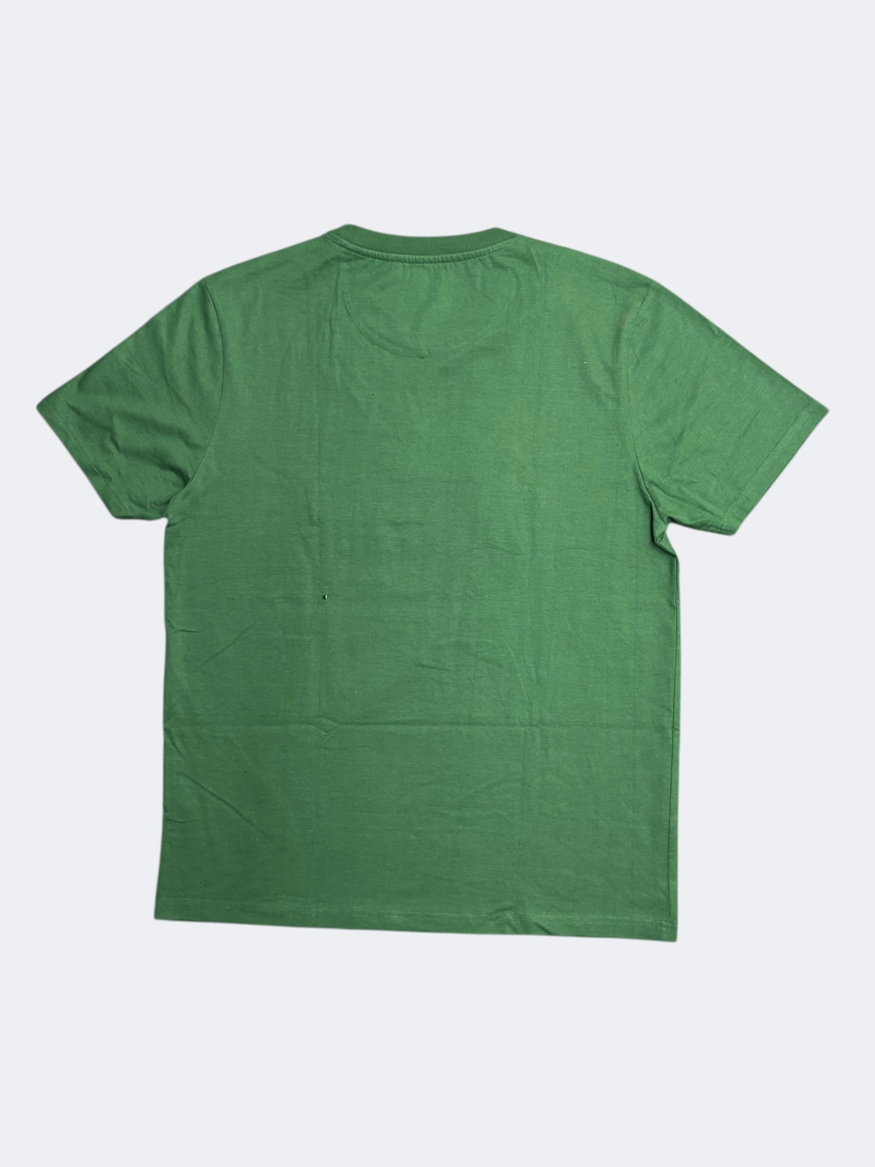 Hollister | Green | Crew neck